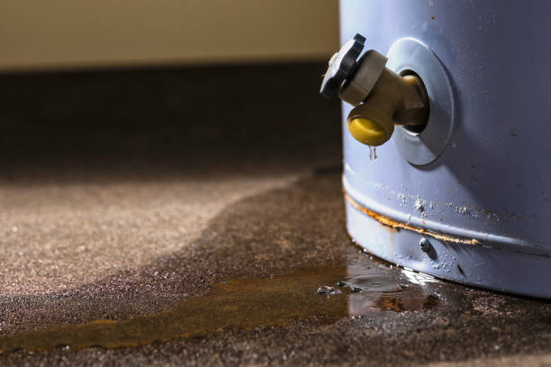 Best Flood restoration services  in Murrells Inlet, SC