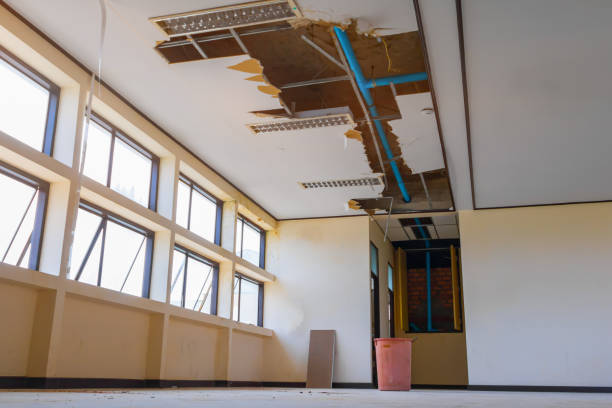 Best Water damage restoration experts  in Murrells Inlet, SC
