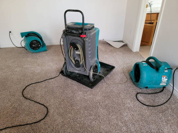Best Ceiling water damage repair  in Murrells Inlet, SC