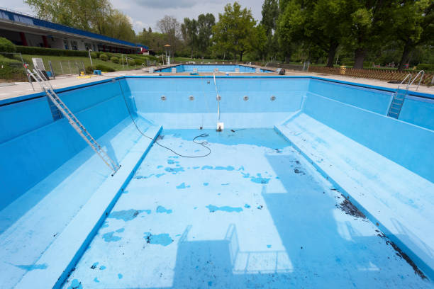 Best Basement water damage restoration  in Murrells Inlet, SC