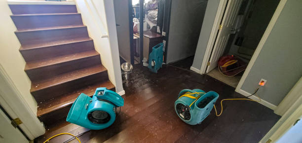 Best Flood damage cleanup  in Murrells Inlet, SC