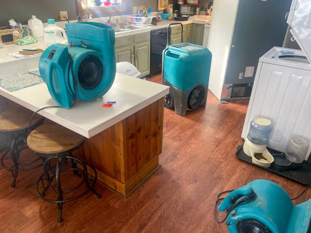 Best Local water damage restoration  in Murrells Inlet, SC