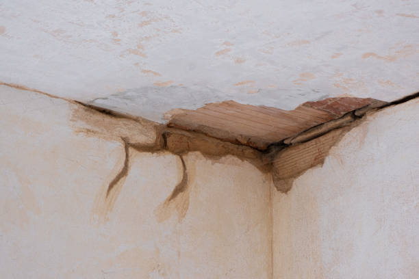 Local water damage restoration in SC