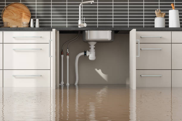 Best 24/7 water damage repair  in Murrells Inlet, SC