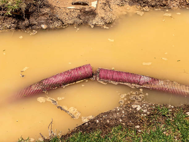 Best Carpet water damage restoration  in Murrells Inlet, SC