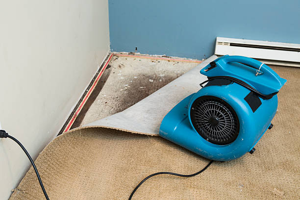 Best Emergency water damage restoration  in Murrells Inlet, SC
